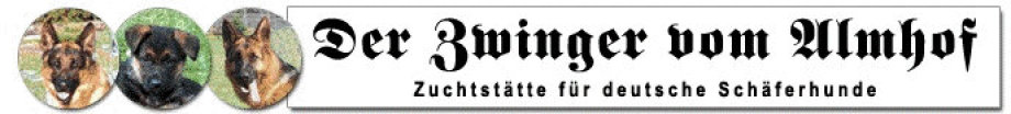 Deutsche Schäferhunde vom Almhof